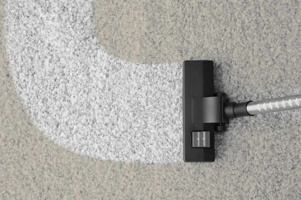 carpet cleaning services for homes and businesses