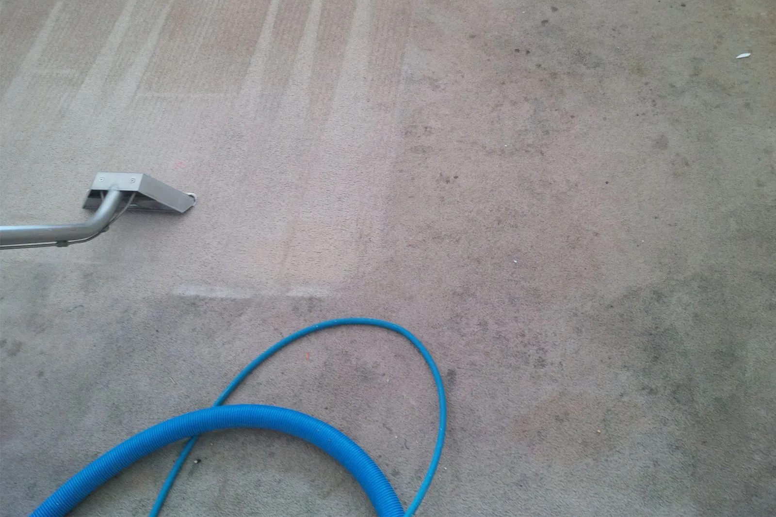 Carpet cleaning